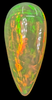 14.8ct Welo Opal Pear Cabochon AAAA Loose Ethiopian Neon Flash