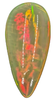 14.8ct Welo Opal Pear Cabochon AAAA Loose Ethiopian Neon Flash