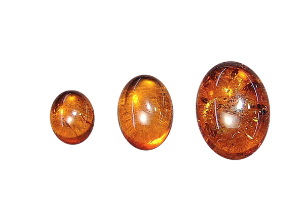 Natural Extra Fine Baltic Amber - Oval Cabochon - AAA+ 8x6mm-25x18mm