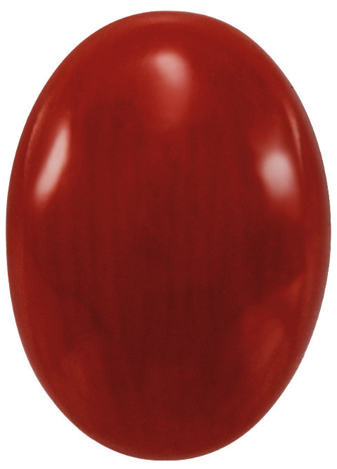 Natural Extra Fine Rich Ox Blood Coral - Oval Cabochon - AAA+ Grade