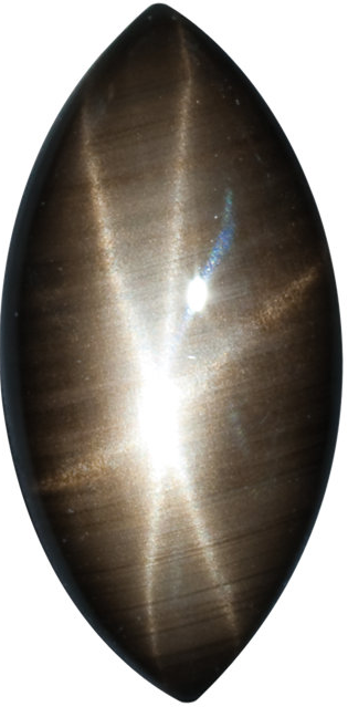 Natural Fine Black Star Sapphire - Marquise Cabochon - Unheated, Untreated - Sri Lanka - Top Grade - NW Gems & Diamonds