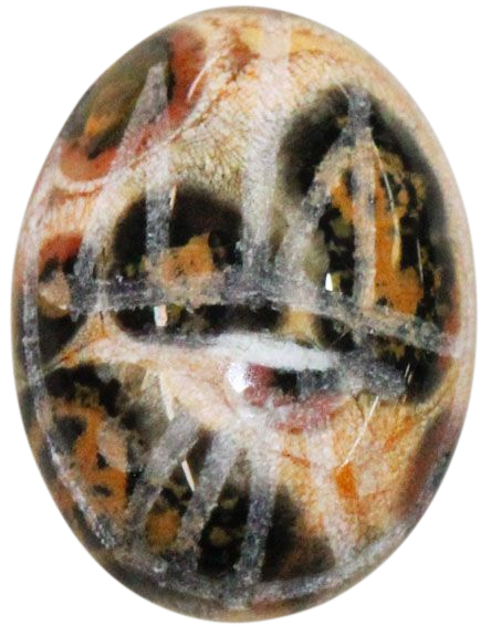 Natural Fine Leopardskin Jasper Scarab - Oval - Brazil - AAA Grade