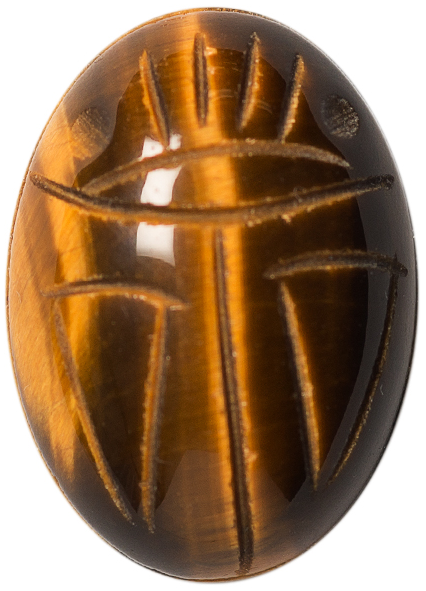 Natural Fine Deep Gold Bronze Tiger's Eye Scarab - Oval - AAA Grade