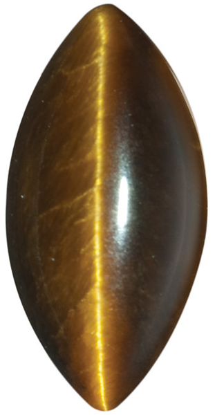 Natural Fine Deep Gold Bronze Tiger's Eye - Marquise Cabochon - AAA Grade