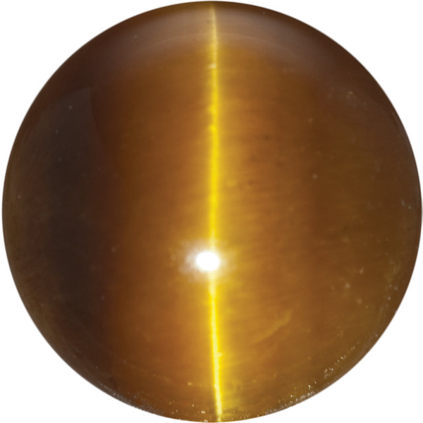Natural Fine Deep Gold Bronze Tigereye - Round Cabochon - South Africa - Top Grade - NW Gems & Diamonds
 Natural Fine Deep Gold Bronze Tigereye - Round Cabochon - South Africa - Top Grade - NW Gems & Diamonds