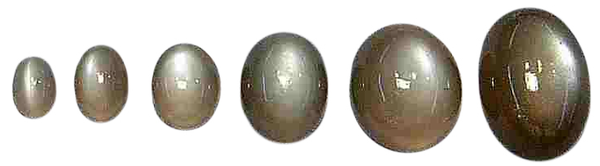Natural Extra Fine Black Cat's Eye Moonstone - Oval Cabochon - AAA+ Grade m1 Natural Extra Fine Black Cat's Eye Moonstone - Oval Cabochon - AAA+ Grade m1