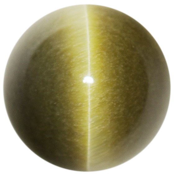 Natural Extra Fine Deep Green Cat's Eye - Round Cabochon - AAA+ Grade
