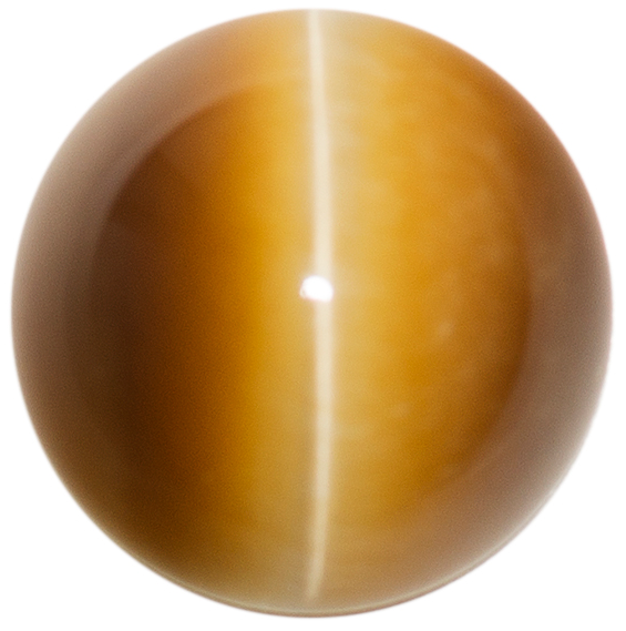Natural Extra Fine Golden Honey Tiger's Eye - Round Cabochon - South Africa - AAA+ Grade