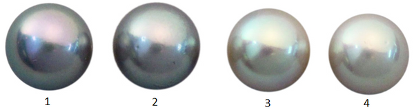 Natural Extra Fine Blue-Gray Japanese Akoya Saltwater Pearl - Round - Half-Drilled- AAA+ Grade