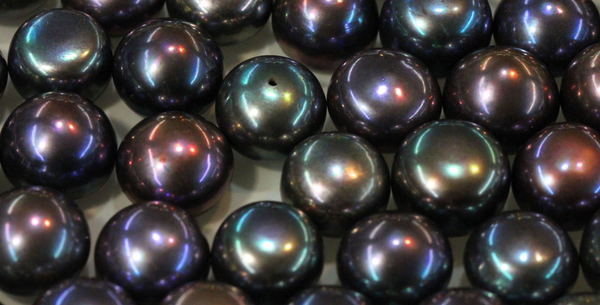 Natural Fine Peacock Freshwater Pearl - Round - Half-Drilled - China - AAA Grade