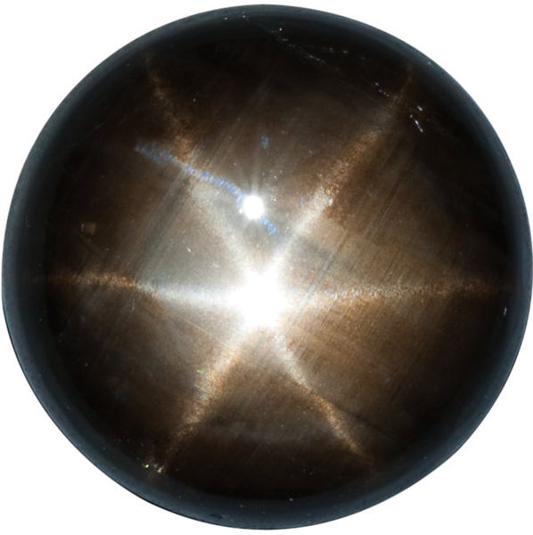 Natural Fine Black Star Sapphire - Round Cabochon - Unheated, Untreated - Sri Lanka - Top Grade - NW Gems & Diamonds
