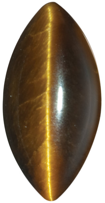 Natural Fine Deep Gold Bronze Cat's Eye - Marquise Cabochon - South Africa - AAA Grade