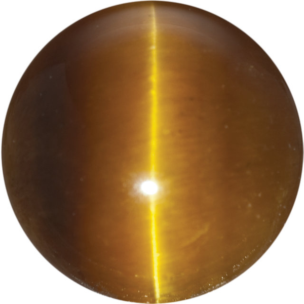 Natural Fine Deep Gold Bronze Tigereye - Round Cabochon - South Africa - Top Grade - NW Gems & Diamonds
