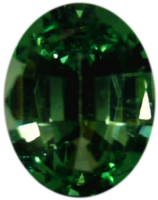 Natural Fine Rich Green Tsavorite - Oval - Tanzania - Top Grade - NW Gems & Diamonds
