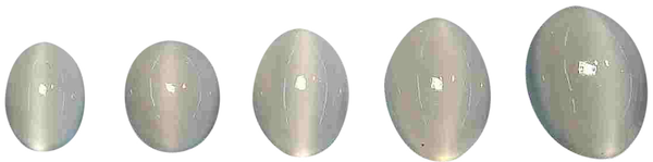 Natural Extra Fine White Cat's Eye Moonstone - Oval Cabochon - AAA+ Grade